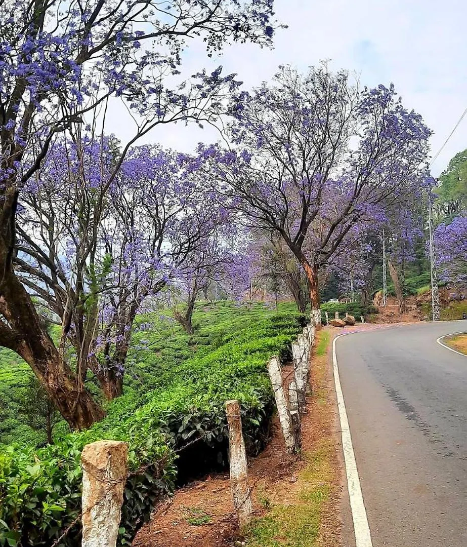 Hiya Holidays Munnar 0*,  Indie