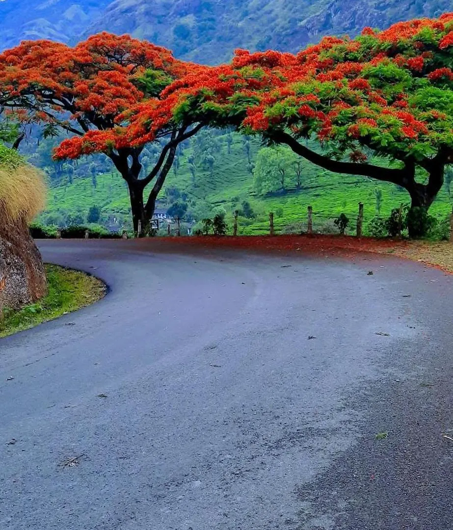 Hiya Holidays Munnar Ubytování v soukromí
